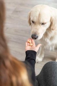 Trixie TRIXIE 34989, Baking mat, Silicone, Yellow, -40 - 230 °C, 280 mm, 380 mm 16