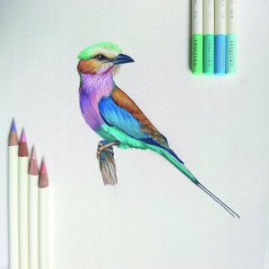 Tombow Tombow Color pencil IROJITEN set volume 1: Pale tone l, 10 pc(s) 7