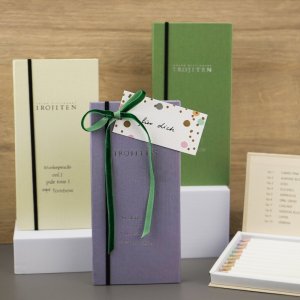 Tombow Tombow Color pencil IROJITEN set volume 1: Pale tone l, 10 pc(s) 8