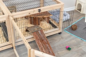 Trixie TRIXIE 62487, Farm, Guinea pig, Rabit, Wood, Metal, Wood, 1500 mm, 600 mm 5