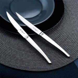 Amefa Amefa JET - 6-pc steak knives in grey block - mirror 7
