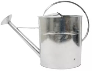 Home It Home it® vandkande med spreder 10 liter galvaniseret 2