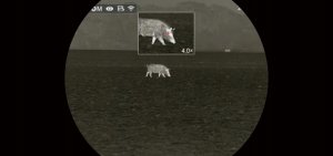 Noktowizor InfiRay Kamera termowizyjna InfiRay Affo AL25 384x288 pikseli 50Hz, WLAN zoom 1x-4x 13