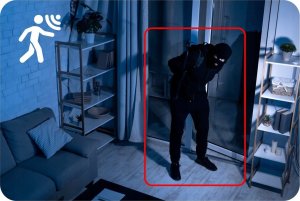 Kamera IP Zintronic Profesjonalna Kamera sieciowa PoE 5MPx B5 Szara AUDIO IP67 8