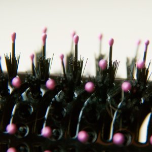 Suszarko-lokówka Taurus Air Wave Ionic 4