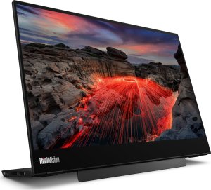 Monitor Lenovo ThinkVision M14t Gen 2 (63FDUAT6WL) 11