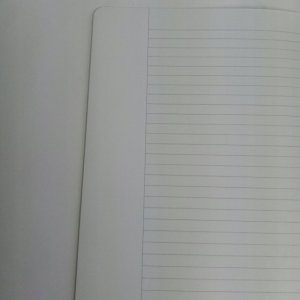 Herlitz Herlitz Hefte x.book   A4/16 Lin.25   FSC Mix 10