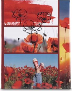 Hama ALBUM RED POPY 10X15/200 1