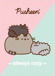 MAJEWSKI Zeszyt A5 32k krata laminowany Pusheen p15 mix cena za 1 szt 3