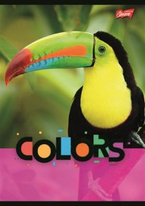 MAJEWSKI Zeszyt A5 32k krata laminowany Exotic Colors p15, mix cena za 1 szt 2