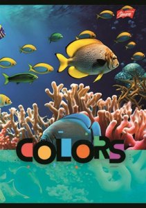 MAJEWSKI Zeszyt A5 32k krata laminowany Exotic Colors p15, mix cena za 1 szt 4