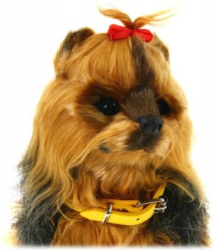 Norimpex Pies interaktywny - York (NO-1000659) 2