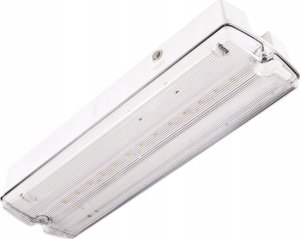 Intelight Oprawa awaryjna LED Intelight Orion MT INLEWA 91895/41628 10xLED 4W 104lm 3h SA/A IP65 2