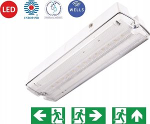 Intelight Oprawa awaryjna LED Intelight Orion MT INLEWA 91895/41628 10xLED 4W 104lm 3h SA/A IP65 3