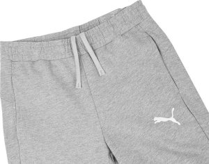 Puma Spodnie męskie Puma Team Goal Casuals szare 658598 33 L 4