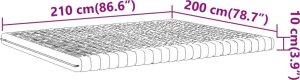 vidaXL vidaXL Materac piankowy, biały 200x210 cm, 7-strefowy, twardość 20 ILD 9