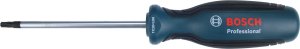 Bosch Screwdriver TX 25x100 mm Bosch 1600A01V0C 10