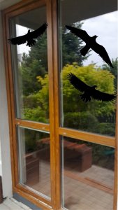 Sourcing Swissinno Bird window sticker (5 pcs of bird collision prevention stickers) 3