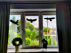 Sourcing Swissinno Bird window sticker (5 pcs of bird collision prevention stickers) 4