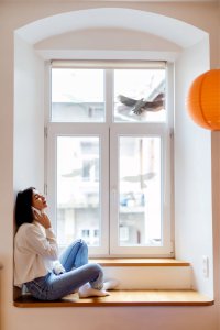 Sourcing Swissinno Bird window sticker (5 pcs of bird collision prevention stickers) 7