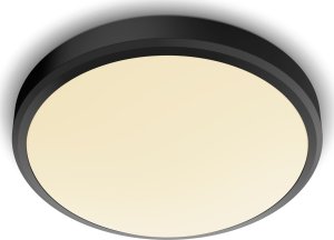 Lampa sufitowa Philips DORIS CL257 EC RD 17W 27K B HV IP44 06 5