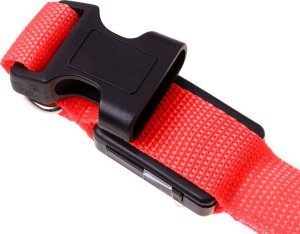 Verk Obroża świecąca w ciemności led dla psa i kota regulowana regulacja 59cm Obroża świecąca w ciemności led dla psa i kota regulowana regulacja 59cm 3
