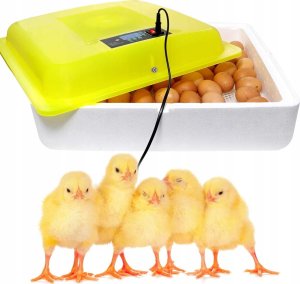 Heckermann Inkubator Do Jajek Heckermann Ew-88 3