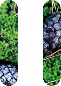 Sourcing Sauna Bucket RENTO Juodas 5L 4