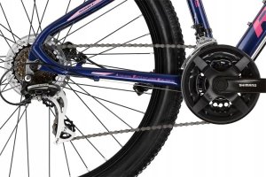 Romet Dviratis Romet Jolene 7.1 2024 dark blue-15" / S (Dydis: 15" / S) 4