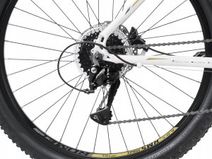 Romet Dviratis Romet Rambler R6.4 26" 2023 baltas-auksinis-20" / XL (Dydis: 20" / XL) 3