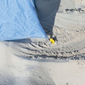 Ludi namiot-ochrona-basen, niebieski, 10 miesięcy+ 4