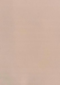 Titanum Pianka A4 5szt. cielista 2