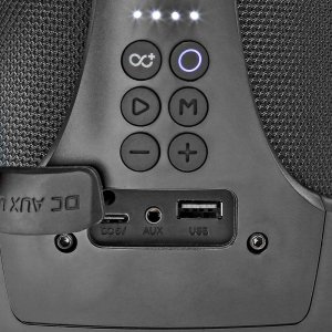 Głośnik Nedis Nedis SPBB315BK głośnik przenośny / imprezowy Przenośny głośnik stereo Czarny 50 W 14