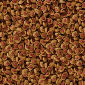 Sera Reptil Professional Carnivor 1000 ml 2