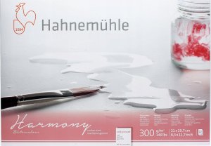 Hahnemühle Hahnemühle Harmony Watercolour cold pressed 12 Sheets 300 g  A4 1