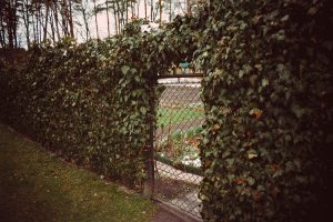 Obiektyw Voigtlander Voigtlander Obiektyw Color Skopar SL IIs 28 mm f/2,8 do Nikon F - czarny 13