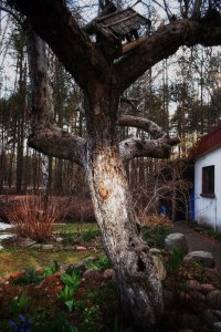 Obiektyw Voigtlander Voigtlander Obiektyw Color Skopar SL IIs 28 mm f/2,8 do Nikon F - czarny 14