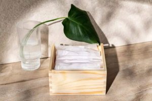 Lansinoh 1564 WKŁADKI LAKTACYJNE 1-RAZOWE 100SZT LANSINOH 10