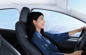 Baseus Zasłona dachowa do Tesli model Y Baseus T-Space - jedno warstwowa (biała) 11