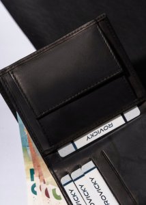 Always Wild Duży, skórzany portfel męski - Always Wild NoSize 11