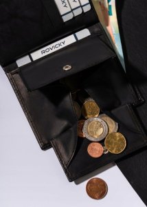 Always Wild Duży, skórzany portfel męski - Always Wild NoSize 12