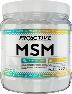 ProActive PROACTIVE MSM NATURAL 300 GRAM 1