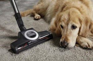 Odkurzacz Miele Vacuum cleaner Miele Complete C3 Cat amp Dog - SGEF5, 12031690 16