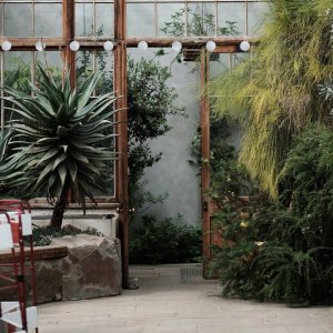 DPM Girlanda LED, 12 x cotton balls, białe,  2 x AA, 1,5 m 5