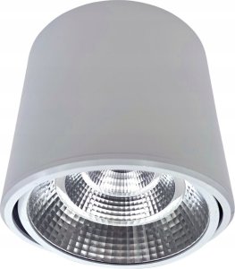 DPM Reflektor LED punktowy regulowany natynkowy 20 W 1600 lm 4000 K biały X-LINE 1