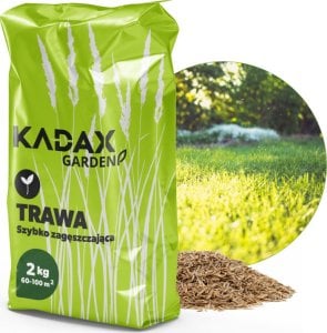 Kadax Trawa Uniwersalna Szybko Zagęszczająca 2kg 80M2 1