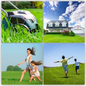 Kadax Trawa Uniwersalna Szybko Zagęszczająca 2kg 80M2 7