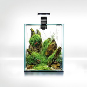 Triton AQUAEL Zestaw Aquael Shrimp Set Smart Day & Night [20l] - czarny 1