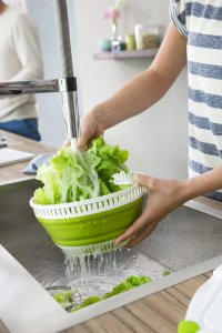 Jata BASIC składana wirówka do sałaty, miska (zielona/przezroczysta) 16