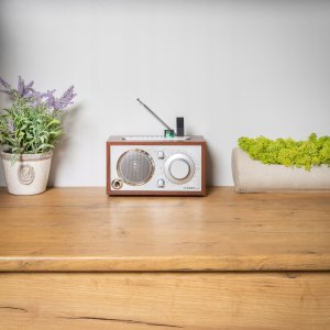 Radio First First Austria Radijėlė First 1907-1 28